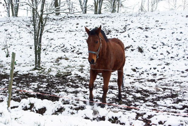 Décembre 2010 Aveyron1