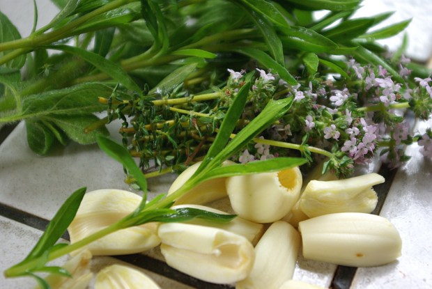 Herbes et ail 2