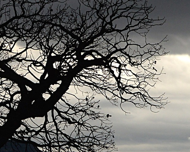 Mauvais temps le chene